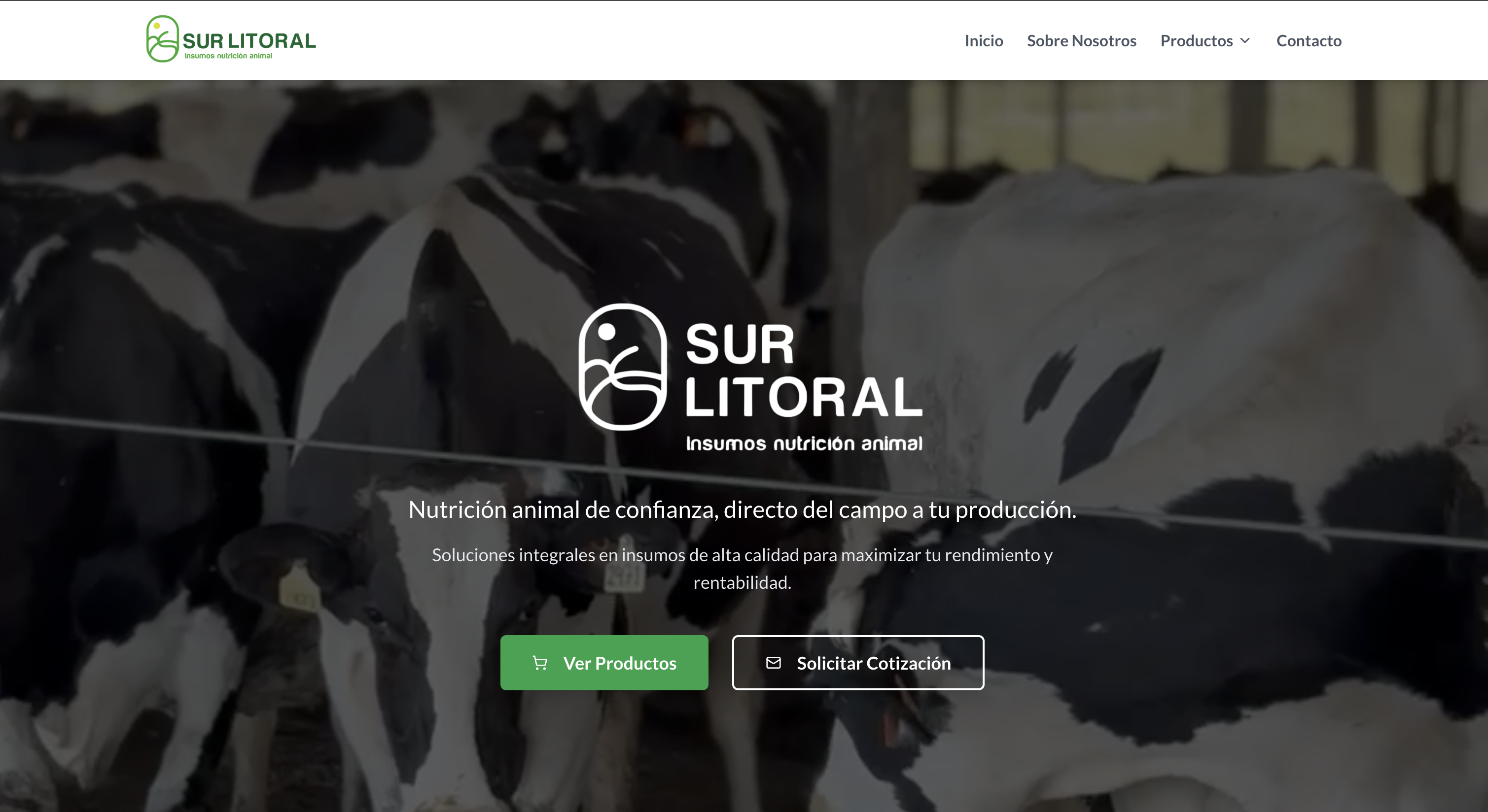 Sitio Web Sur Litoral
